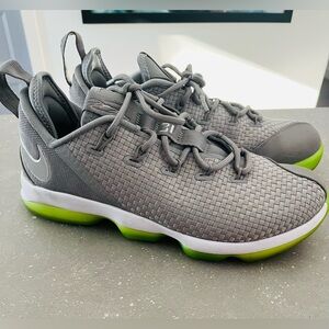 Nike LeBron XIV Duckman